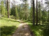 Sant'Uberto - Cascata di Fanes